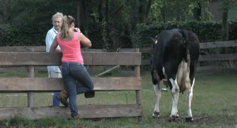 03e1a257a5d2aa0aefa45447f68be306.gif