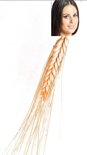 05518283d81a68a51adc2a271025eff2.png