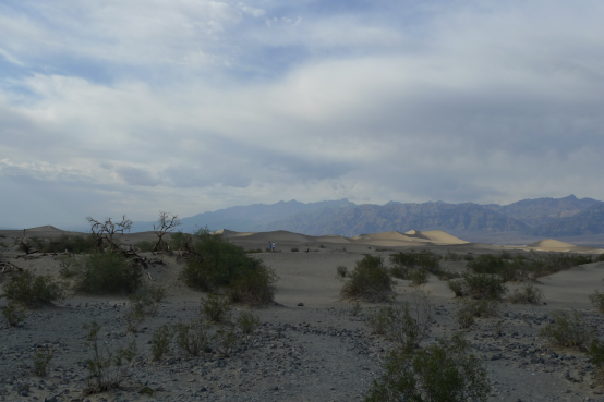 Costa Oeste: San Francisco, Yosemite, Death Valley, Las Vegas, Los Angeles - Blogs de USA - Yosemite-Death Valley. Día 5 (6)