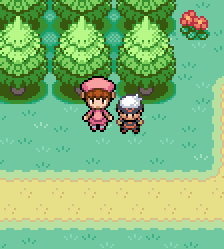 pokemon overworld character sprites