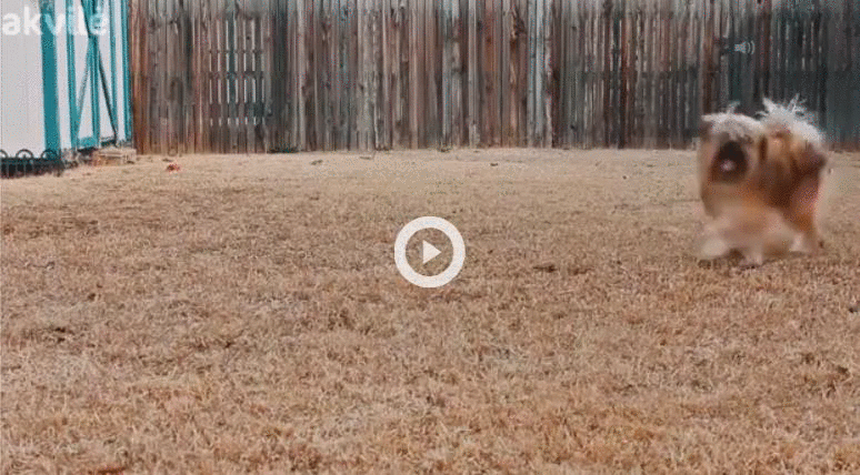 10f6f07020527056df54c7811ea0e2b7.gif