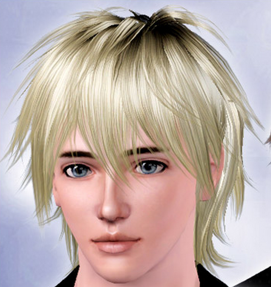 Question About Sims 3 Styled Cc The Sims Forums