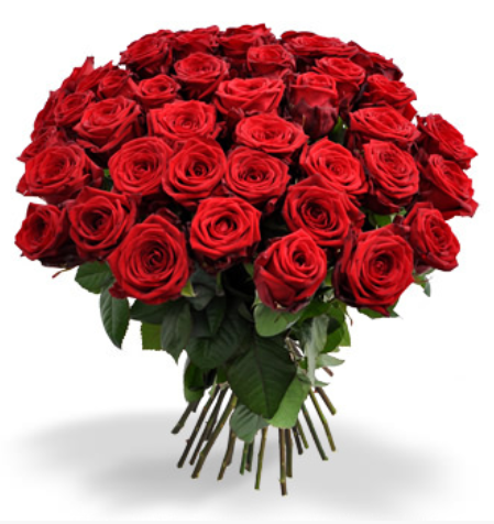 16a5ac99987d7fa0a43f078f357df91f.png