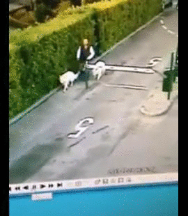 1d5ca377d355aa59310d703a2ba751d4.gif