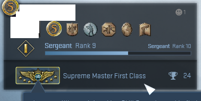 counter strike global offensive ranks