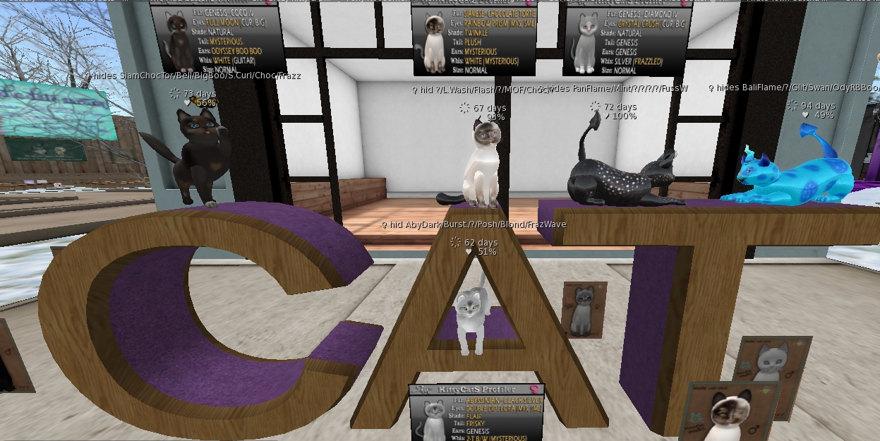 [Image: 2581706868fafb90fa96cf4be6dd5364.jpg]