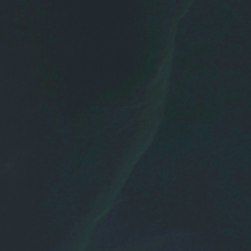 3112ea15a89eb7a23ce29a988dd28a0f.png