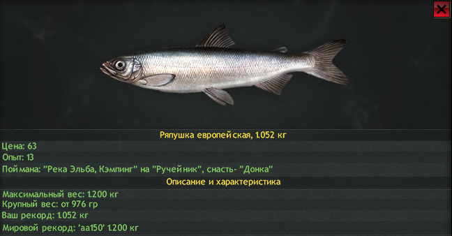 Рыба Ряпушка Фото И Описание Цена – Telegraph
