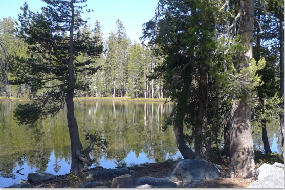 Costa Oeste: San Francisco, Yosemite, Death Valley, Las Vegas, Los Angeles - Blogs de USA - Yosemite-Death Valley. Día 5 (2)