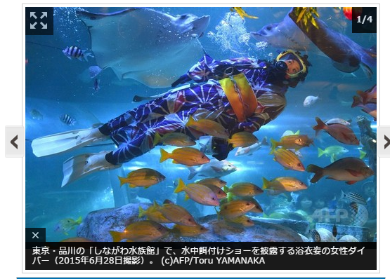 品川 水族館 浴衣 販売