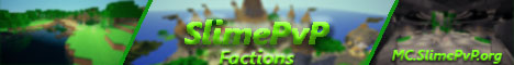 server banner