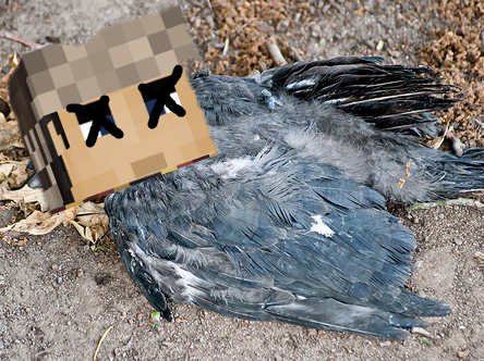 51a0f49655e499bf217d550da9a41a0d.png