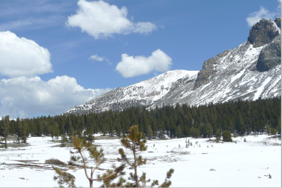 Costa Oeste: San Francisco, Yosemite, Death Valley, Las Vegas, Los Angeles - Blogs de USA - Yosemite-Death Valley. Día 5 (4)