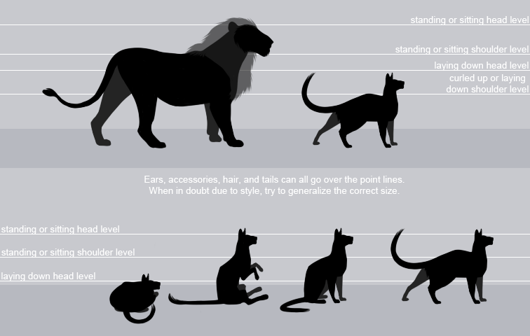 Big cat size comparison to human. 