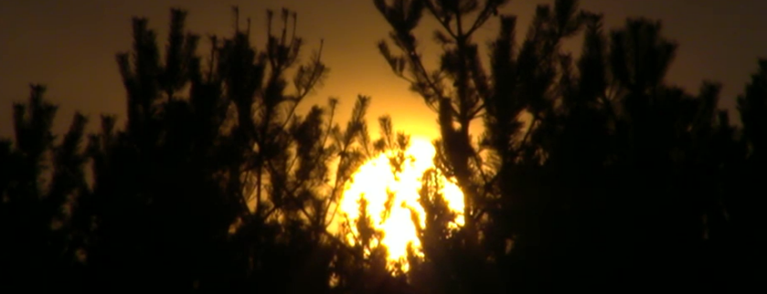 6583b1417145720c7b61e898e341df3f.png