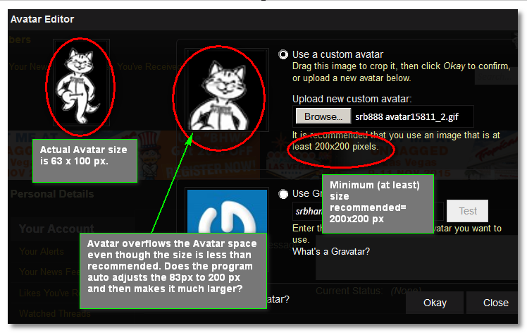 6c624c8131a879af11003966016cacd1.png