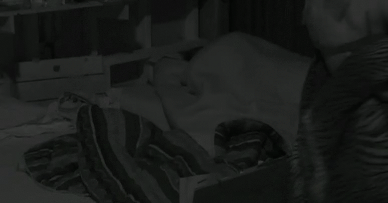 70d0d38379ff409491134ace5e290540.gif