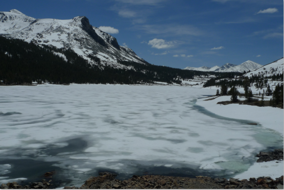 Costa Oeste: San Francisco, Yosemite, Death Valley, Las Vegas, Los Angeles - Blogs de USA - Yosemite-Death Valley. Día 5 (5)