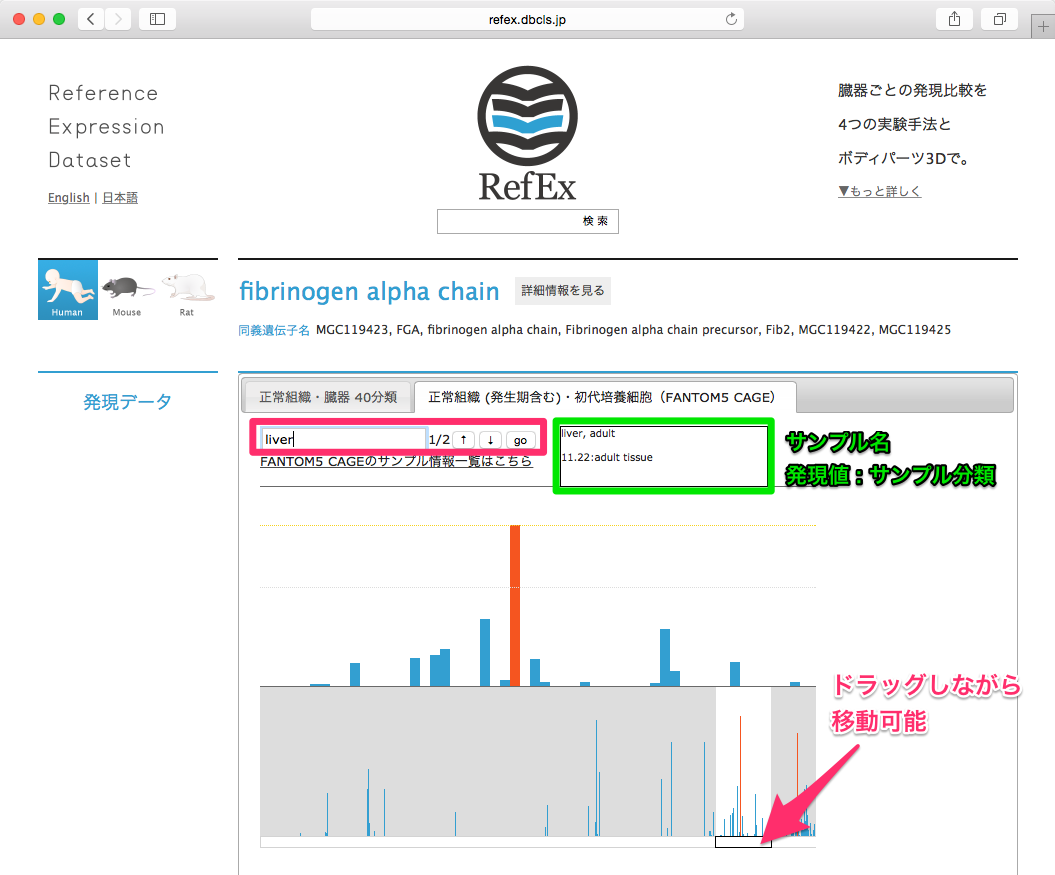 Gyazo