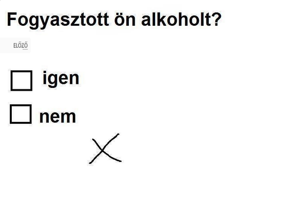 beillesztett kép