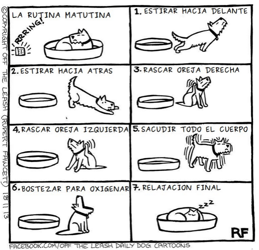 los perros son mas inteligentes que los  humanos?