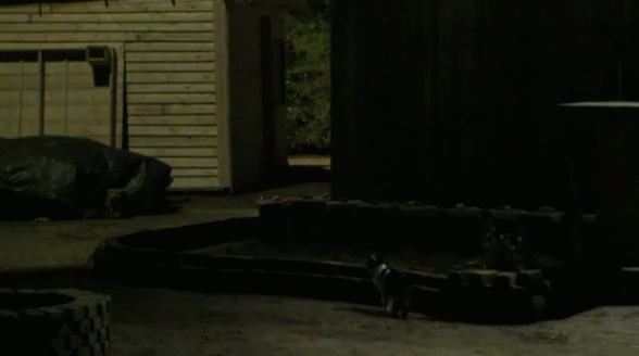 800ab01c8f5c7caf944d9297267b8fe2.gif