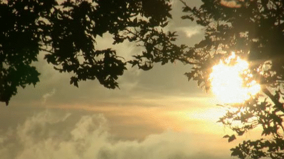 81b480cca0f1670943241aeaf5af0274.gif