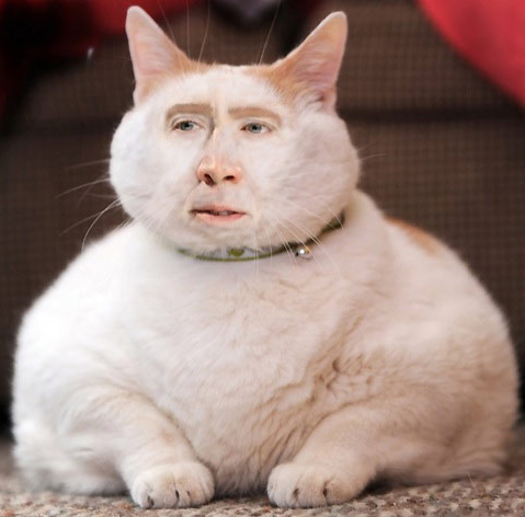 896d621fc1d8f6adeceabf86dde117b2.png