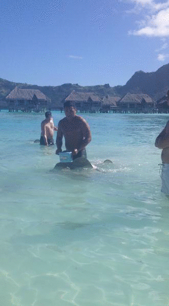 Día 4. 4x4 y Rayas - Bora Bora (11)