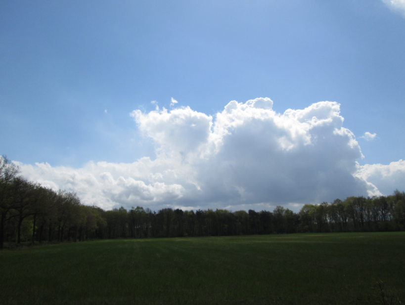 a8155b7687c2189d3d85a1227e4d5fb7.png