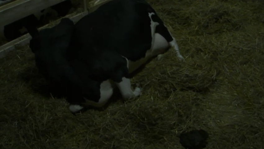ab39201234ffaf423b6bdacf73fd4577.png