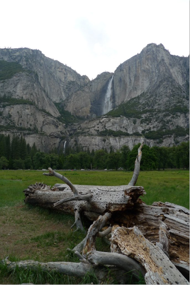 Costa Oeste: San Francisco, Yosemite, Death Valley, Las Vegas, Los Angeles - Blogs de USA - Yosemite. Día 4 (4)