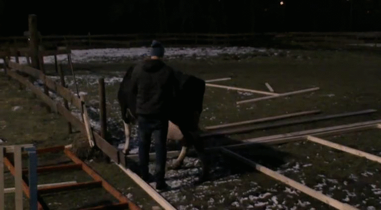 b05b979962b3efe414c201e25e98f351.gif