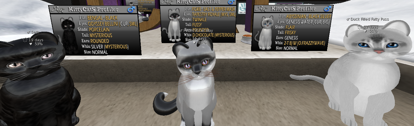 [Image: b51988fec33b86edfde9809661385692.png]