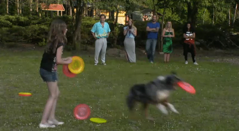 b797bd45477b2df631d8a5200b9af237.gif