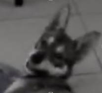 b7bbdb980b40ff75c613202d120e055b.png