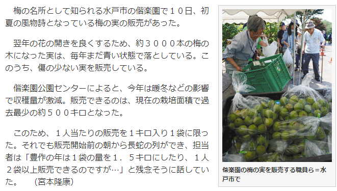 梅の実求め長蛇の列 偕楽園で販売 ローカルニュースの旅