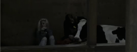 baae4f244da4c09cf4425d53c5426e39.gif