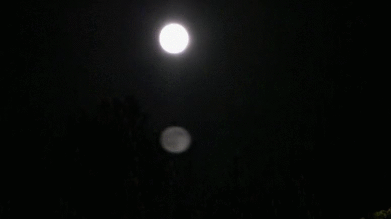 c2318266015ab79dedaf3038507a9e51.gif