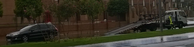 La lluvia en Sevilla es una maravilla [Guadalpark insaid]