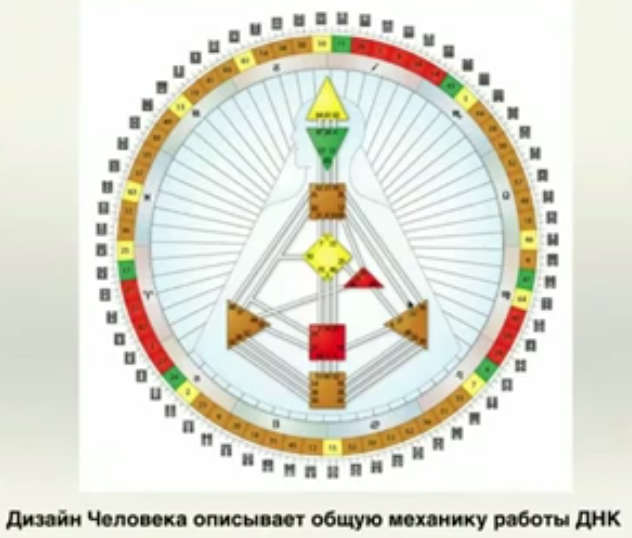 Дизайн человека расчёт Дизайн человека расчёт