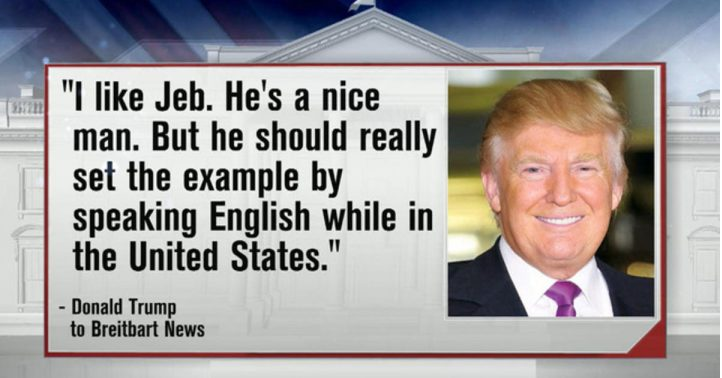 d480fbdfe8a96e7216b453edacfd98c6.png
