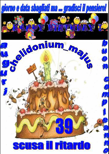 Buon Compleanno In Ritardo A Chelidonium Majus Su Amici E Parole