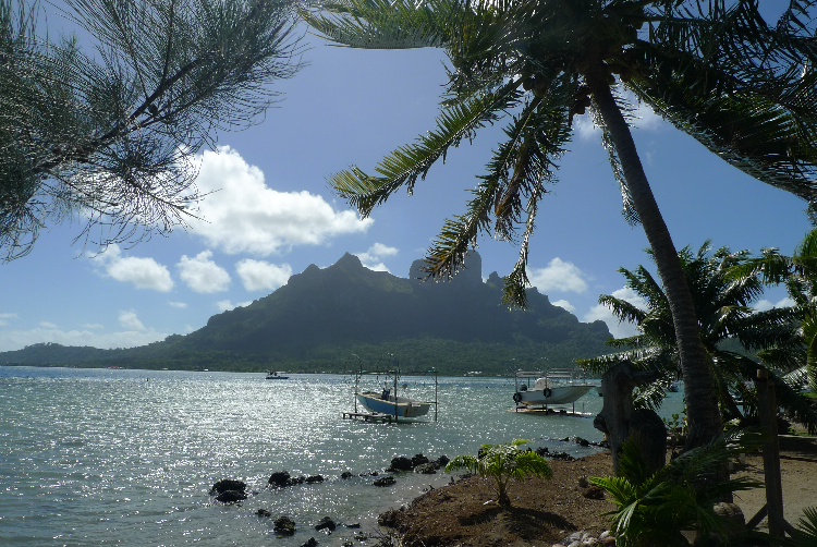 Bora Bora - Blogs de Polinesia Francesa - Día 2. Conociendo Bora Bora (4)