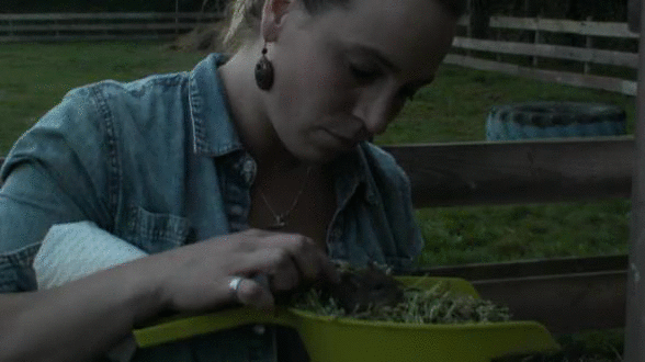 f3c3159116d10498dde810ced5208184.gif