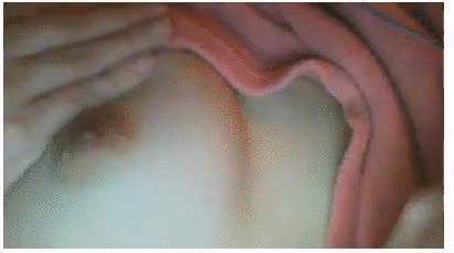 f47bb4421f7255be50d7209b6d047a60.gif