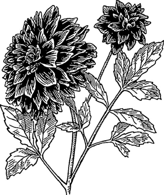 f7568b831fd9224b66d8957e6d68adff.png
