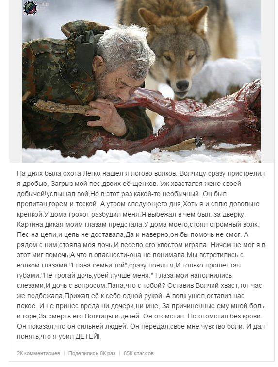 Стих об охотнике и волке Стих об охотнике и волке