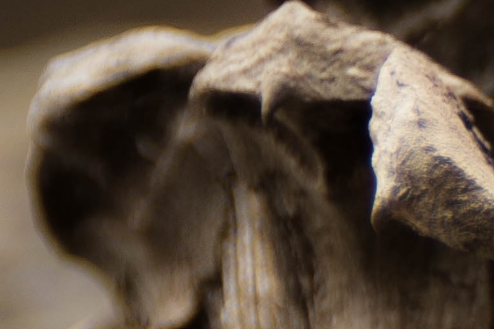 fe28c35af970ede04ceedf2478b67a1a.png