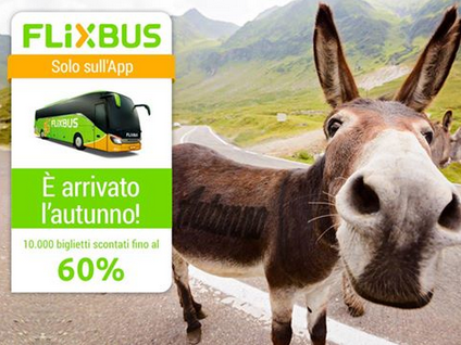 Clicca qui per visualizzare le offerte FlixBus!